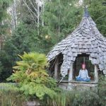 410_tara_meditation_bio_photo