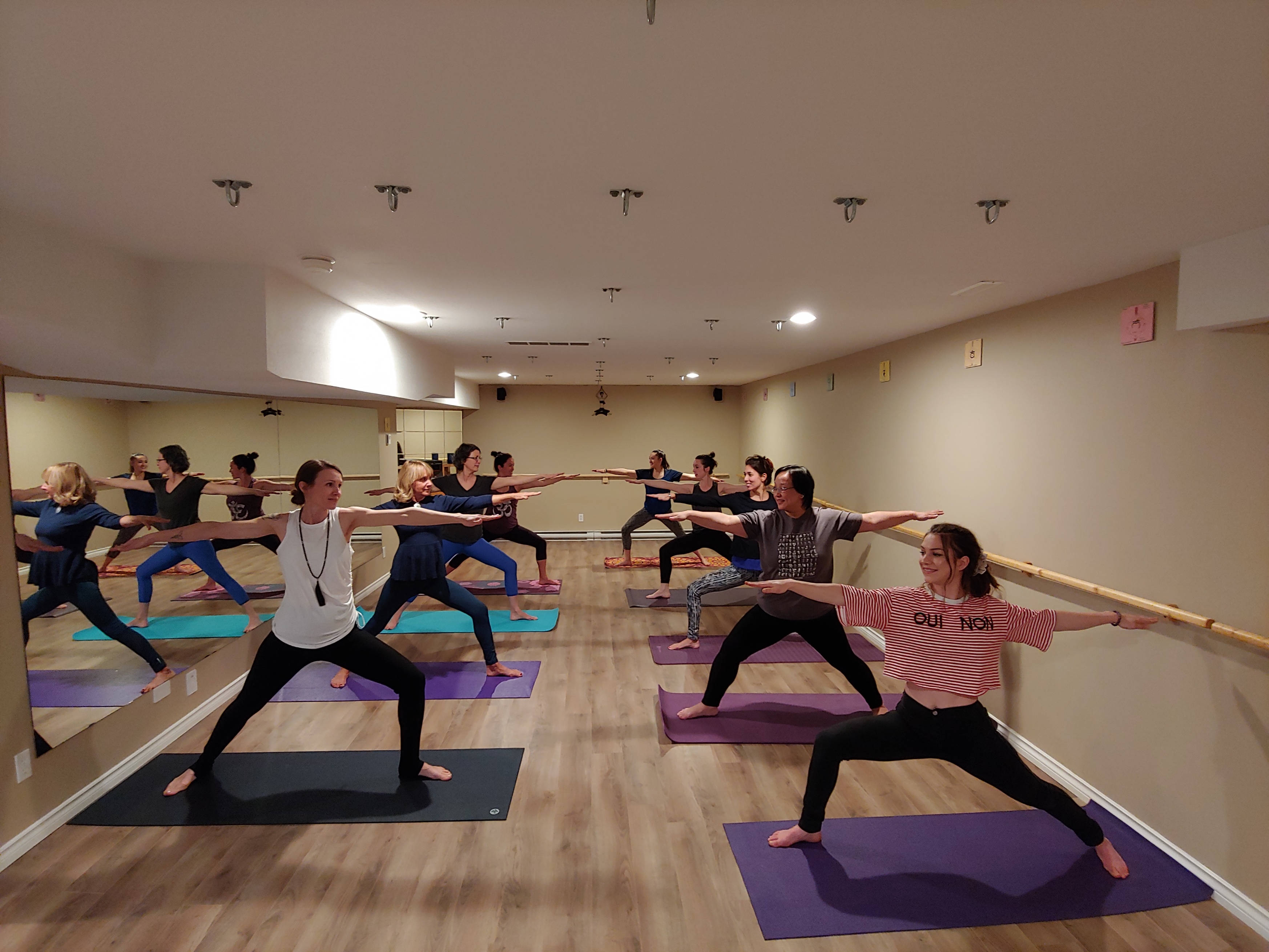 Zoom Hatha Flow Yoga Virginia